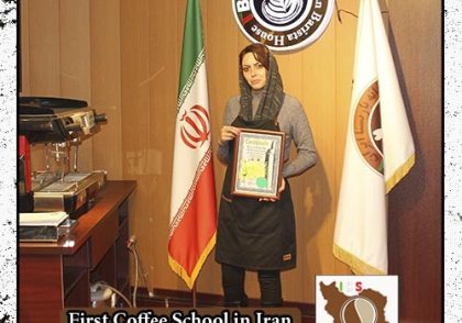 آذین استاجی
