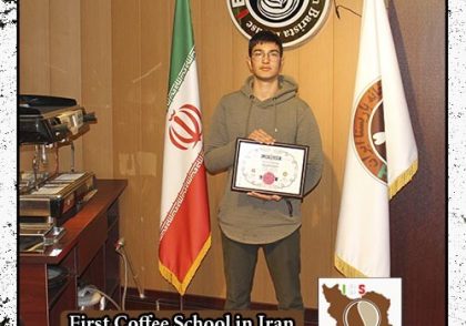 البرز امینی