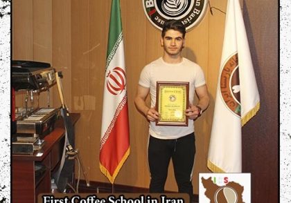 فرهنگ عمادی