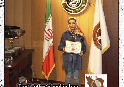 انیس عبدالرسولی