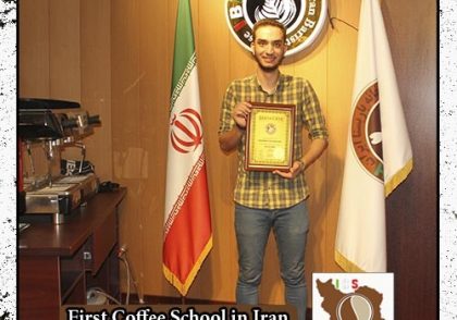 محمد مهدی محمدی