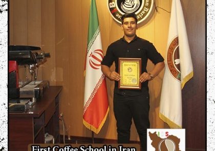 محمد هادی فاطمی