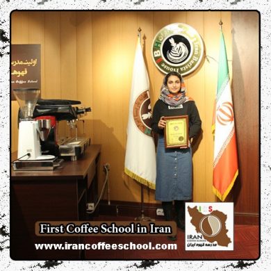 آمیتیس یزدی | آموزش قهوه، باریستا و مدیریت کافی شاپ با مدرک بین المللی