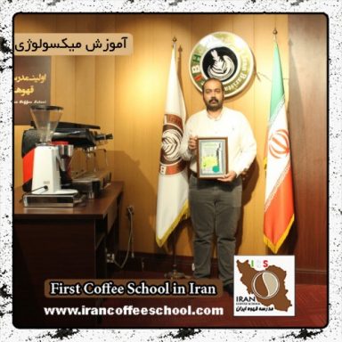 امیرحسین سلمانیان طبسی | آموزش میکسولوژی و نوشیدنی های سرد با مدرک بین المللی