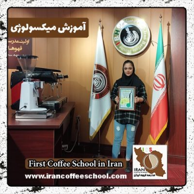 فاطمه فاریابی میکسولوژی | آموزش نوشیدنی های سرد با مدرک بین المللی