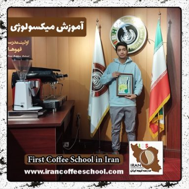 علیرضا حاج نبی میکسولوژی | آموزش نوشیدنی سرد دی ماه 1401 با مدرک بین المللی