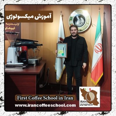 محمدامین دانائی میکسولوژی | آموزش نوشیدنی سرد دی ماه 1401 با مدرک بین المللی