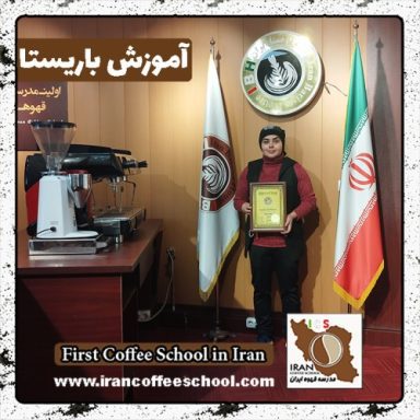 مهناز شاه محمدی بنی باریستایی | دوره بهمن ماه 1401 با مدرک فنی حرفه ای