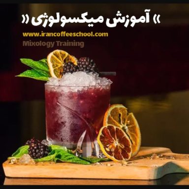 مهران شفق پور | مدرک بین المللی آموزش تخصصی میکسولوژی و نوشیدنی سرد