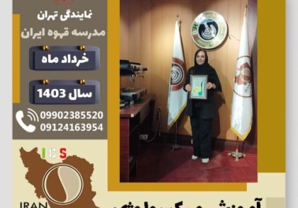 رویا طیبی میکسولوژی | آموزش تخصصی نوشیدنی های سرد خرداد 1403