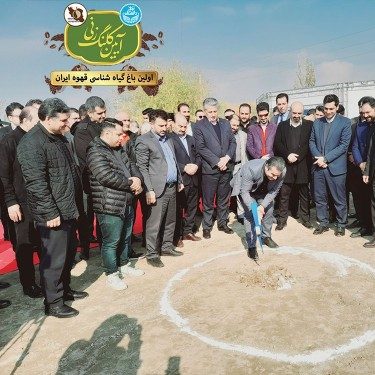 مزرعه قهوه | نقش فرآوری قهوه در ارز آوری و اشتغالزایی