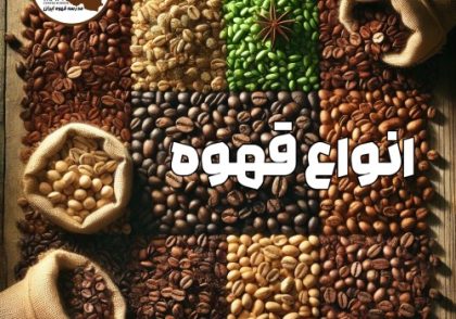 دانه قهوه | شناخت انواع دانه های قهوه