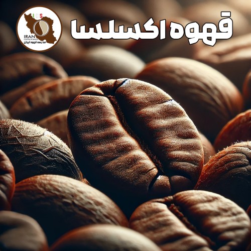 قهوه اکسلسا