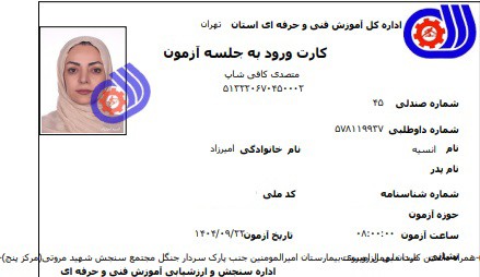 انسیه امیرزاد